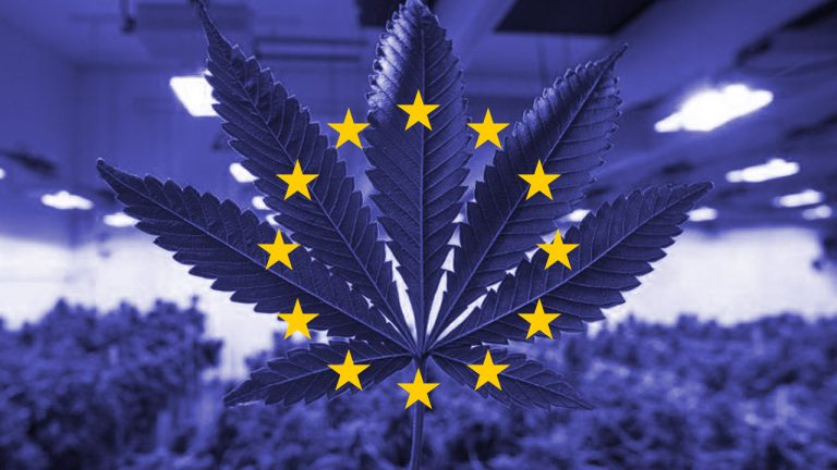 Cannabis per Uso Medico: il Parlamento EU chiede regole europee