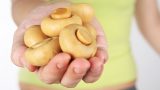 Funghi Mangiali solo se in perfetto stato di conservazione (Foto da Min Salute)