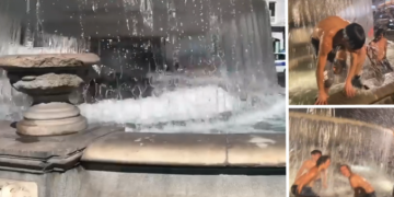 fontana del carciofo napoli piazza trieste foto free video borrelli