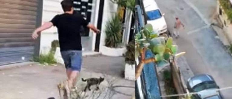 Gatto preso a calci ancora una volta. Un’altra frontiera da disturbati