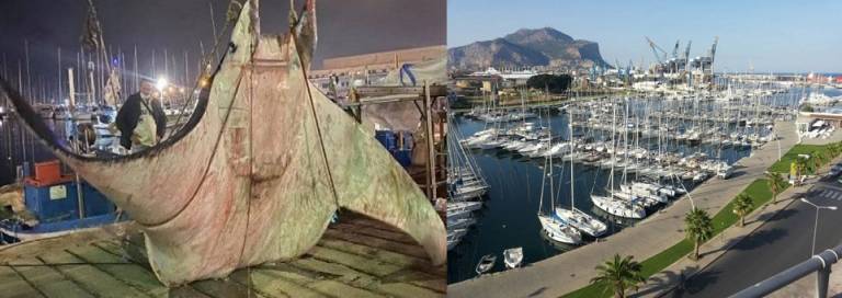 Una Manta ormai morta di circa 400 chili ripescata nella Cala di Palermo