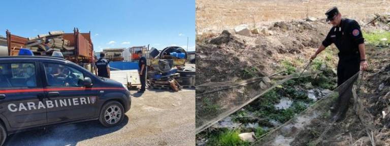 Il bilancio 2020 dei Carabinieri Forestali operanti presso il Centro Anticrimine Natura Carabinieri di Palermo