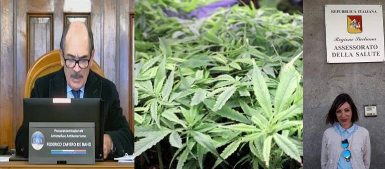 Legalizzare le droghe leggere, togliere spazio alle mafie. Lo dice il Procuratore nazionale Antimafia
