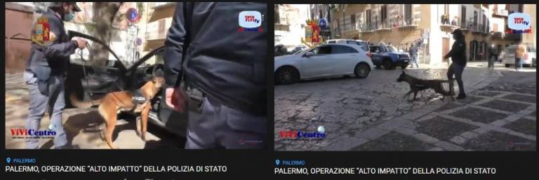 Un plesso scolastico occupato abusivamente era la base operativa dello spaccio (VIDEO)
