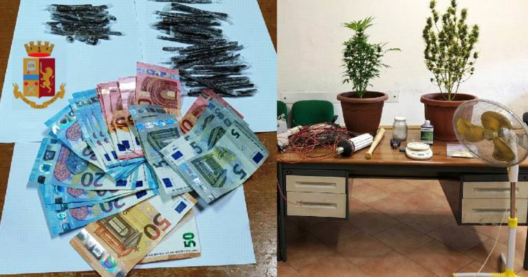 Spaccio e Coltivazione droga a Casoria e nel Bronx: 2 arresti, 1 sequestro