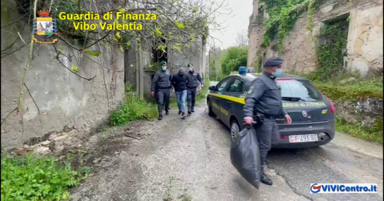 Sequestrati 2 kg di marijuana. Arrestato uno spacciatore a Vibo Valentia