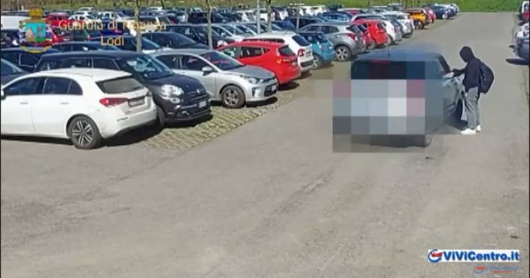 Operazione Bomber GdF Lodi: commercio di sostanze dopanti VIDEO