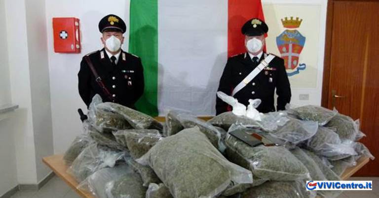 Pettoranello del Molise IS: scoperta coltivazione di canapa indiana