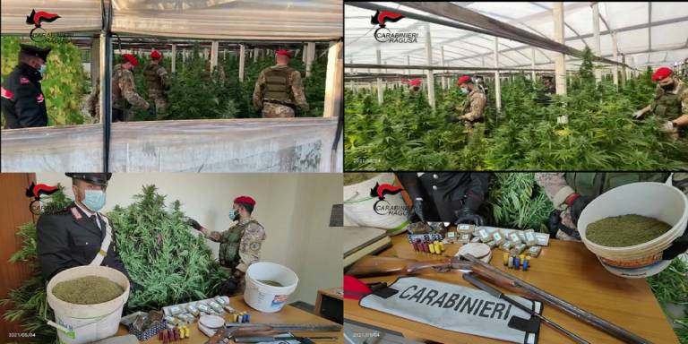 Armi, munizioni e maxi piantagione di marijuana, due arresti