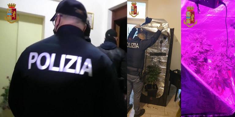 Coltivava marijuana in casa. La Polizia di Stato denuncia messinese