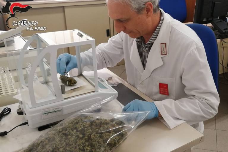Coniugi pusher arrestati, erano anche percettori di reddito di cittadinanza