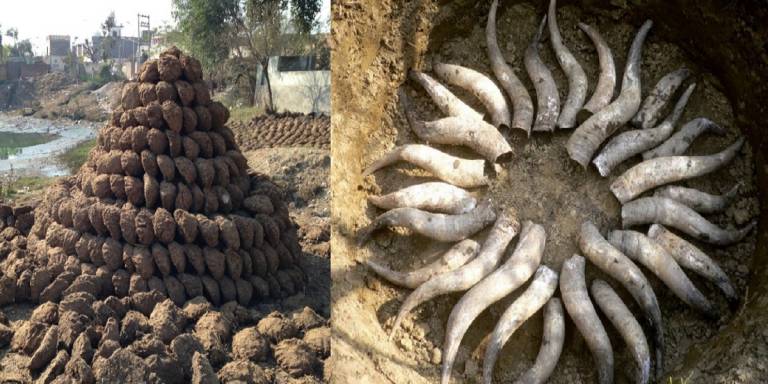 L’agricoltura biodinamica ammessa dal Senato al finanziamento pubblico