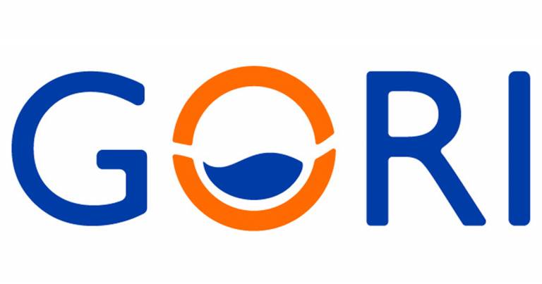 Gori: Digitalizzazione delle reti idriche per la riduzione delle perdite