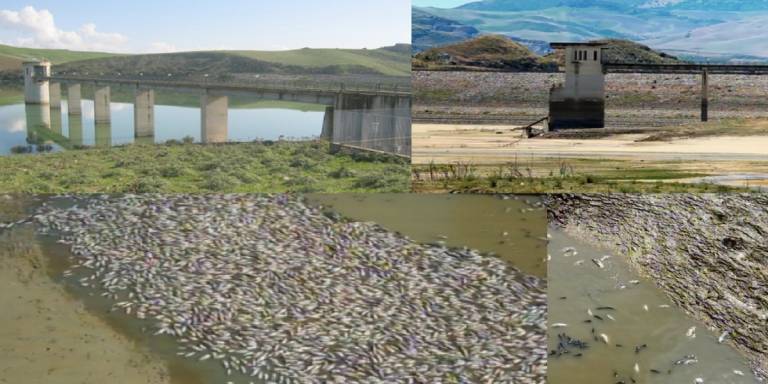 Una diga è stata svuotata dell’acqua e la Regione Siciliana non sa spiegarlo