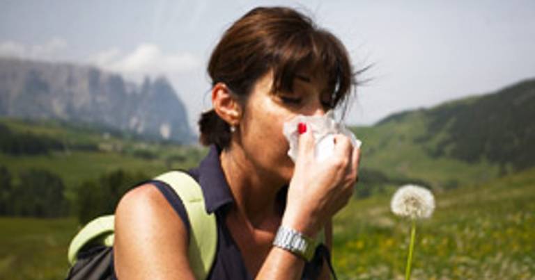 L’allergia respiratoria, ai pollini o pollinosi: ricorrenza stagionale
