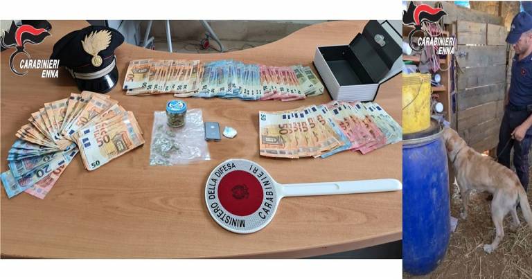 Al fiuto del cane Igor non sfugge la cocaina e marijuana