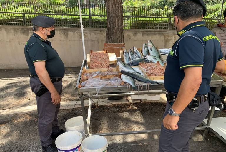 Ambulante abusivo: sanzione e sequestro di 47 kg di prodotto ittico dato in beneficienza