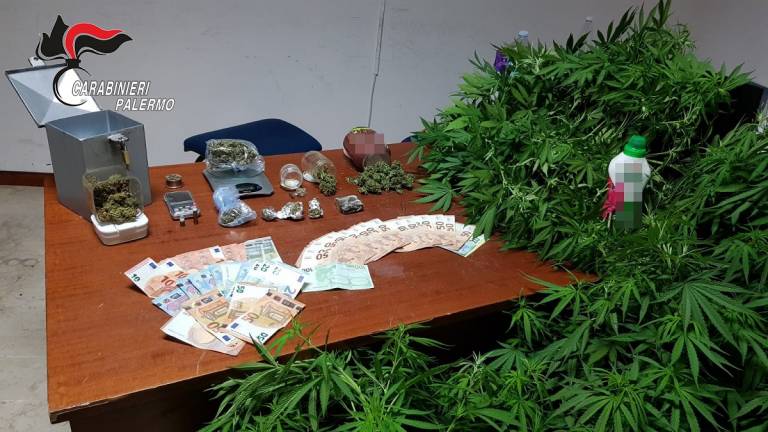 Ancora droga nel palermitano: arrestati padre e figlio