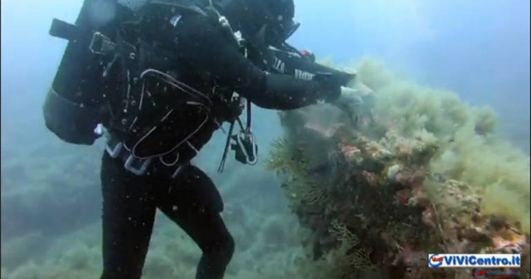 Giornata Mondiale degli Oceani: campagna Mare Pulito Guardia Costiera
