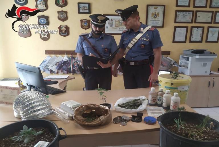 Piantagione indoor di hashish: arrestati padre e figlio, denunciata la moglie