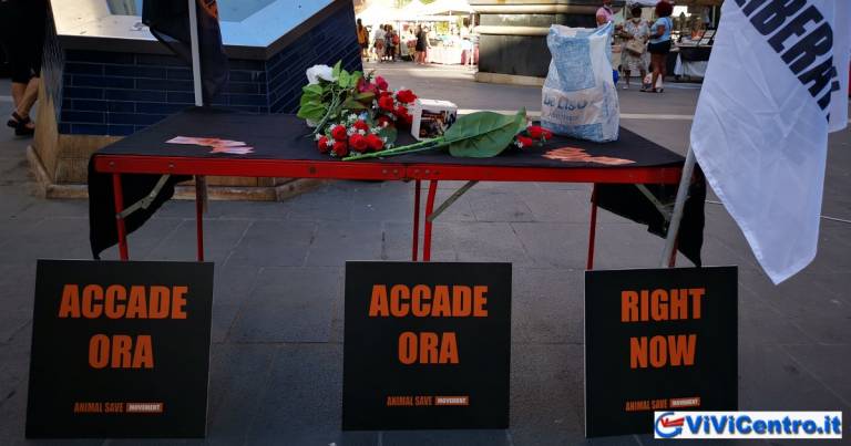 Napoli: attivisti di Napoli Animal Save all’evento Save Square