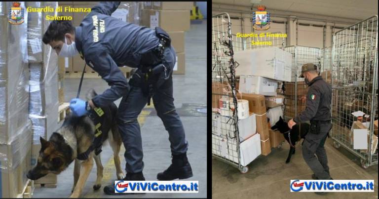Guardia di Finanza: operazioni di contrasto allo spaccio