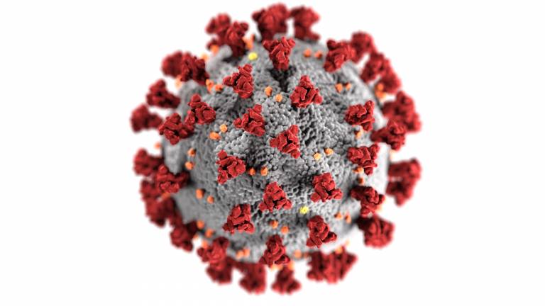 Torre Annunziata: aggiornamento dati Coronavirus