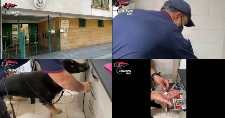 Controlli antidroga, il fiuto del cane Zero scova la “cocaina low cost” che da più dipendenza
