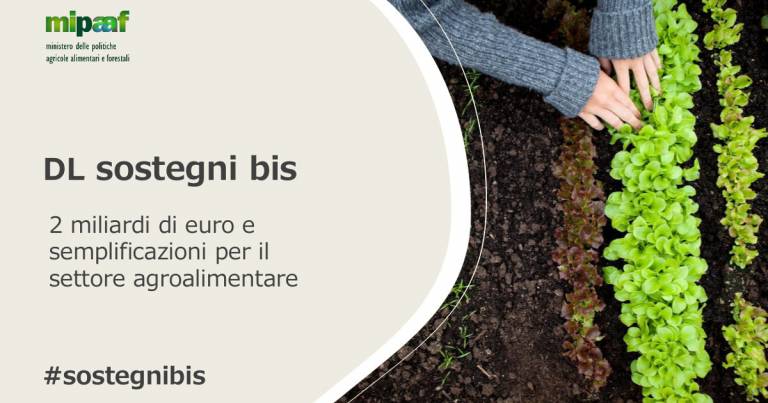 Firmato da Patuanelli il DL Sostegni bis per l’agricoltura