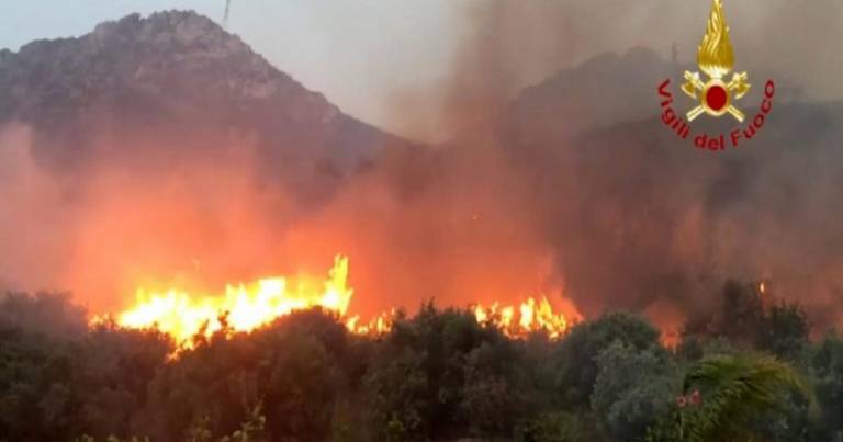 Otto associazioni presentano un esposto sull’emergenza incendi in Sicilia