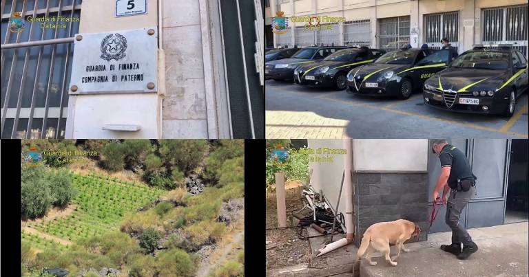 Piantagione di marijuana, arrestato un 55enne e denunciato il fratello