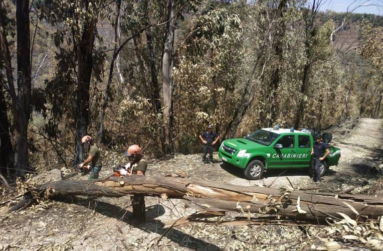 Carabinieri: arrivati rinforzi in Sicilia per le attività di prevenzione degli incendi