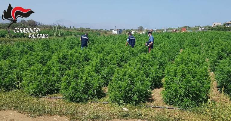 Controlli alle aziende, lavoratori in nero e percettori reddito di Cittadinanza