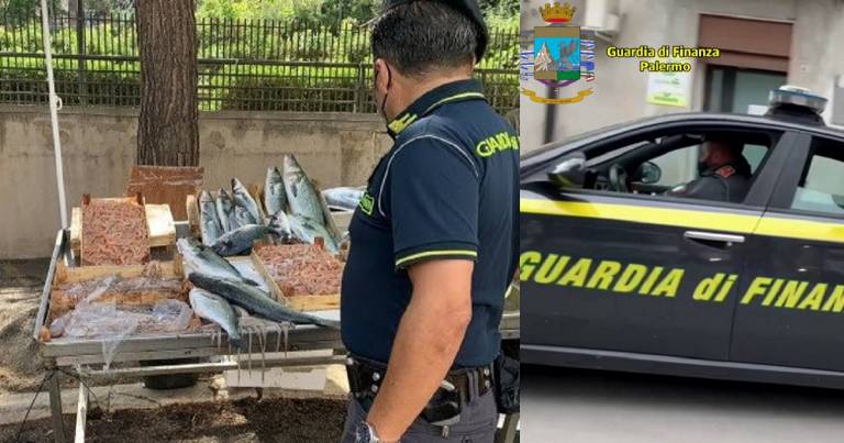 Sequestrato 18 chili di pesce sprovvisto di tracciabilità