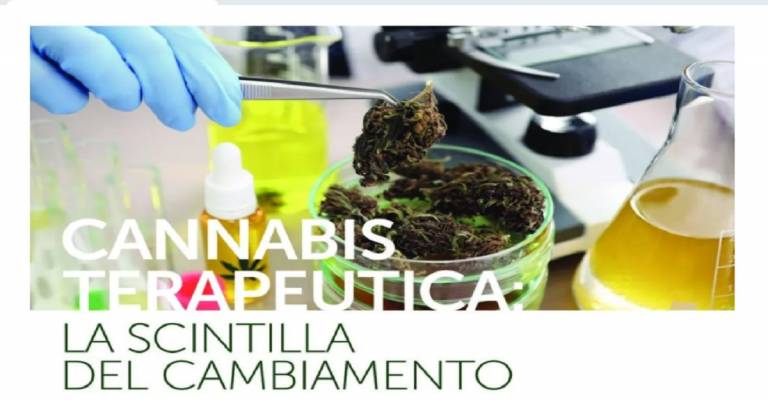 Un corso di formazione sulla ‘Cannabis terapeutica’