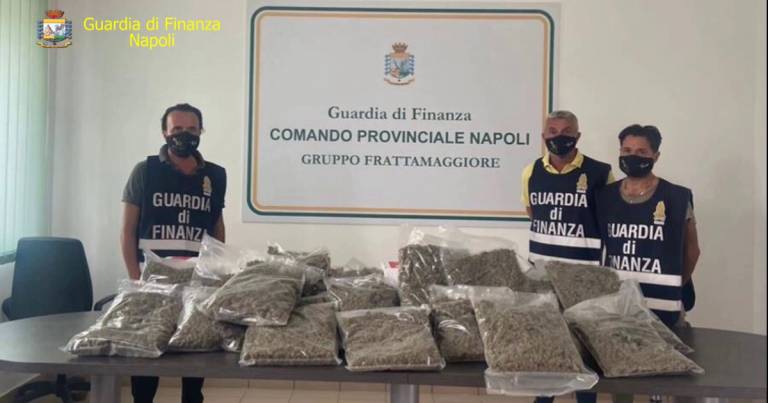 Frattamaggiore: Guardia di Finanza sequestra 22 kg di marijuana