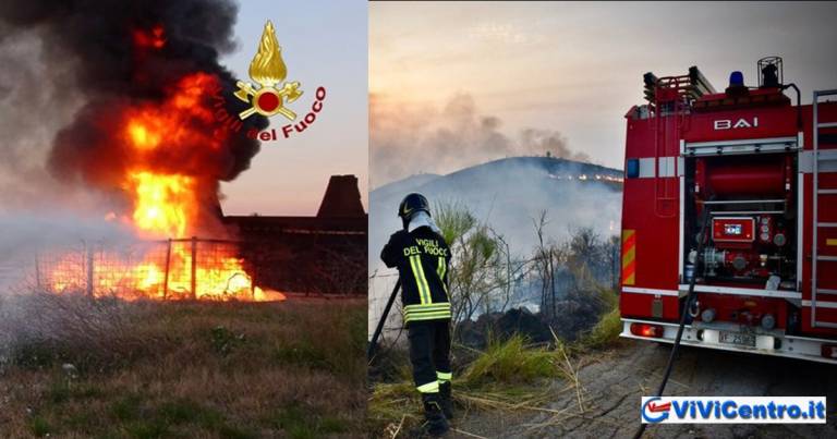 Incendi boschivi; un’estate infernale per la vegetazione italiana