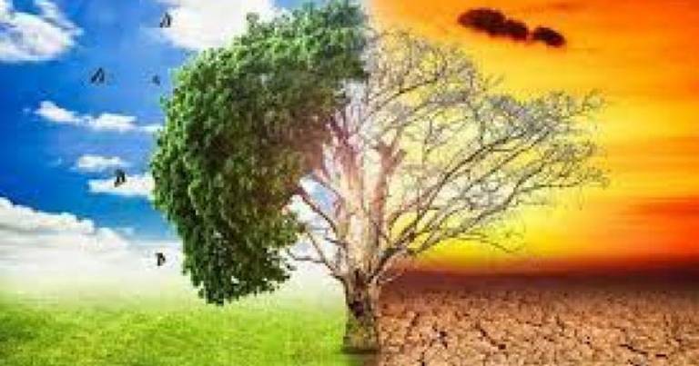 Appello mondiale; l’invito dei leader cristiani a proteggere la terra