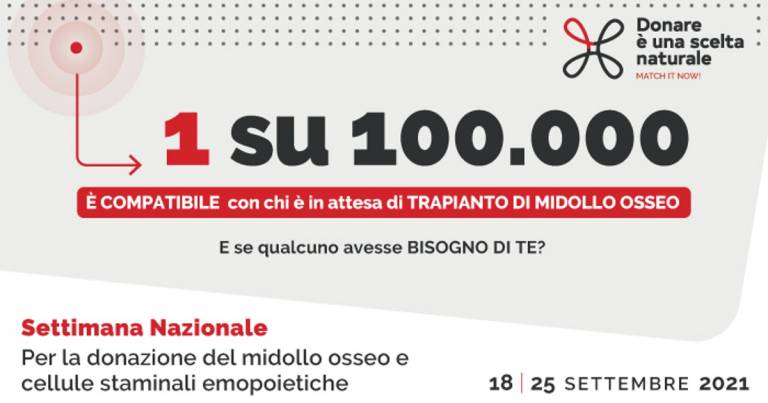 Donazione midollo osseo; iniziata la settimana nazionale