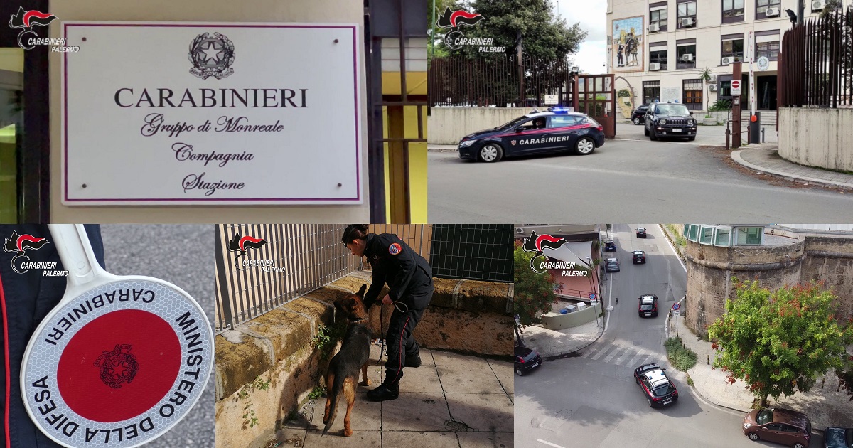 I 12 arresti sono stati eseguiti dai CC di Monreale (PA) sgominando un sodalizio che spacciava