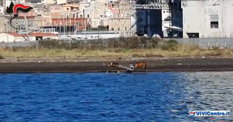 Era il centro della villeggiatura “bene” di Napoli, ora enorme discarica VIDEO