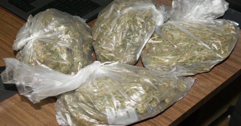 Oltre otto chili di droga tipo skunk ed amnésia in casa di una donna