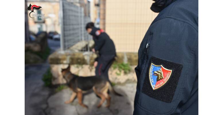 6 arresti, sequestrate: arma da guerra, marijuana, cocaina e hashish