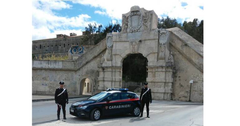 Controllati decine di esercizi commerciali, 734 persone e 415 veicoli