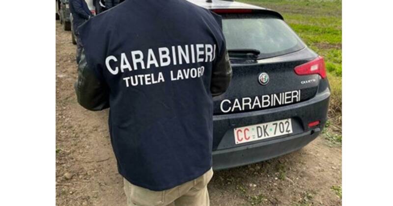 I CC di Castelvetrano (TP) hanno deferito 5 donne e 6 uomini