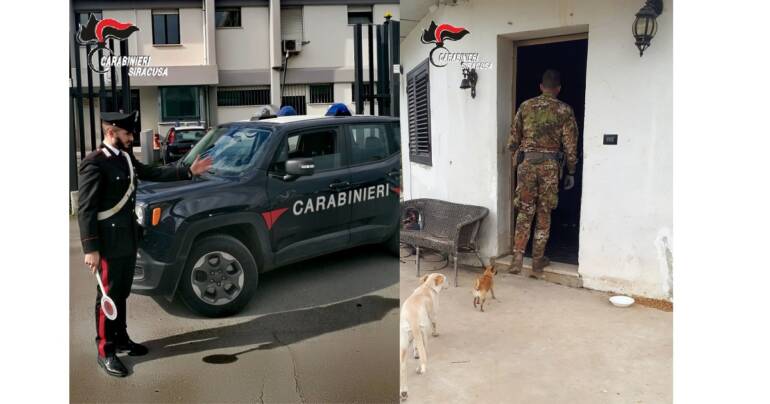 Arrestato un panettiere che coltivava nell’appartamento stupefacenti