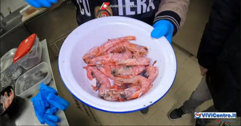 Operazione Metropoli, maxi operazione Roma-Milano della Guardia Costiera