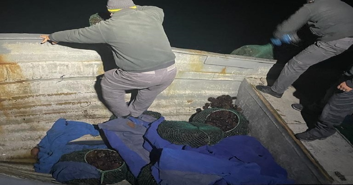 La S.O.N. della GdF di Trapani ha sorpreso nell’area marina protetta delle Isole Egadi un natante con circa 7500 ricci