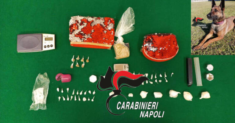 Castellammare Di Stabia: cane antidroga Luna scova cocaina e hashish