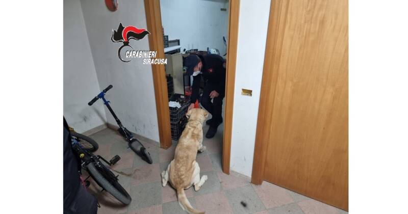 Due denunciati, noti per precedenti di spaccio, dai CC di Pachino (SR)